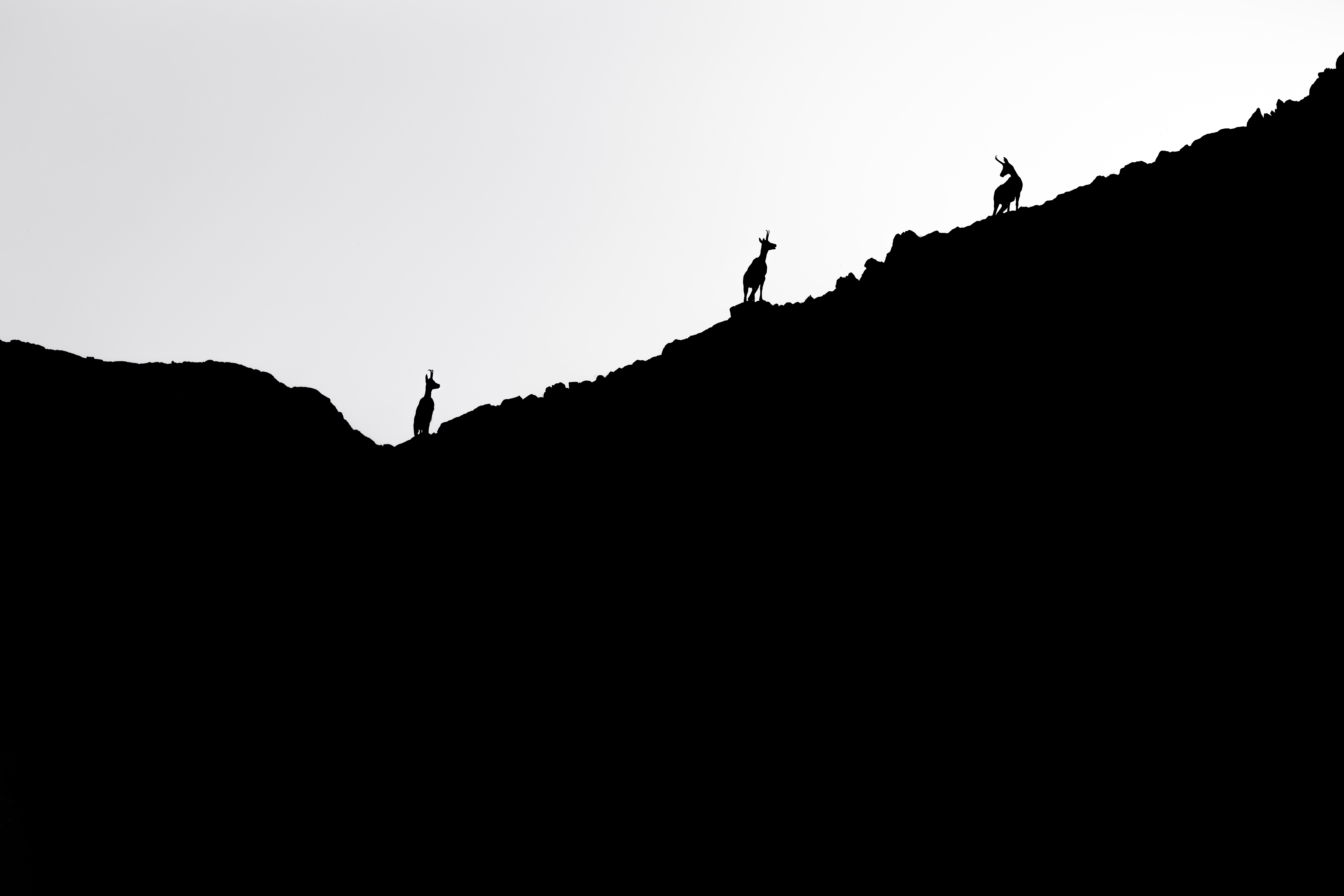 Montagne - Instagram